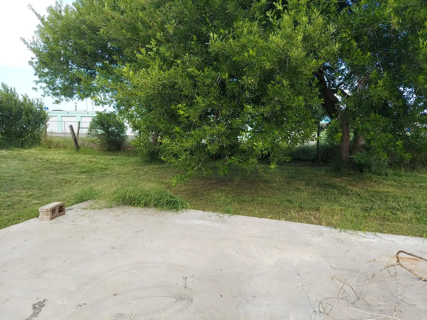 Acreage cut clean around shade trees — Ingleside