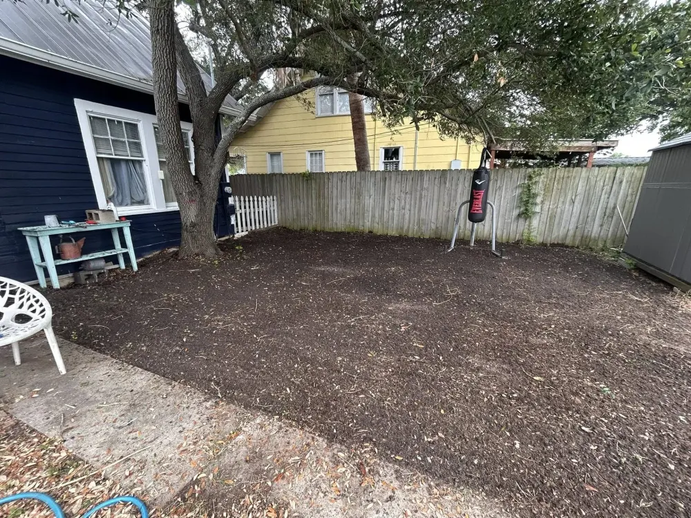 Yard Cleanups