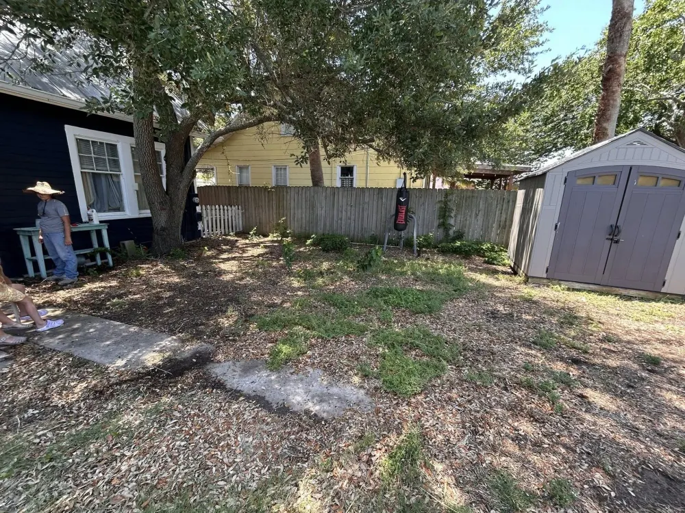Tree & Yard Cleanup — before