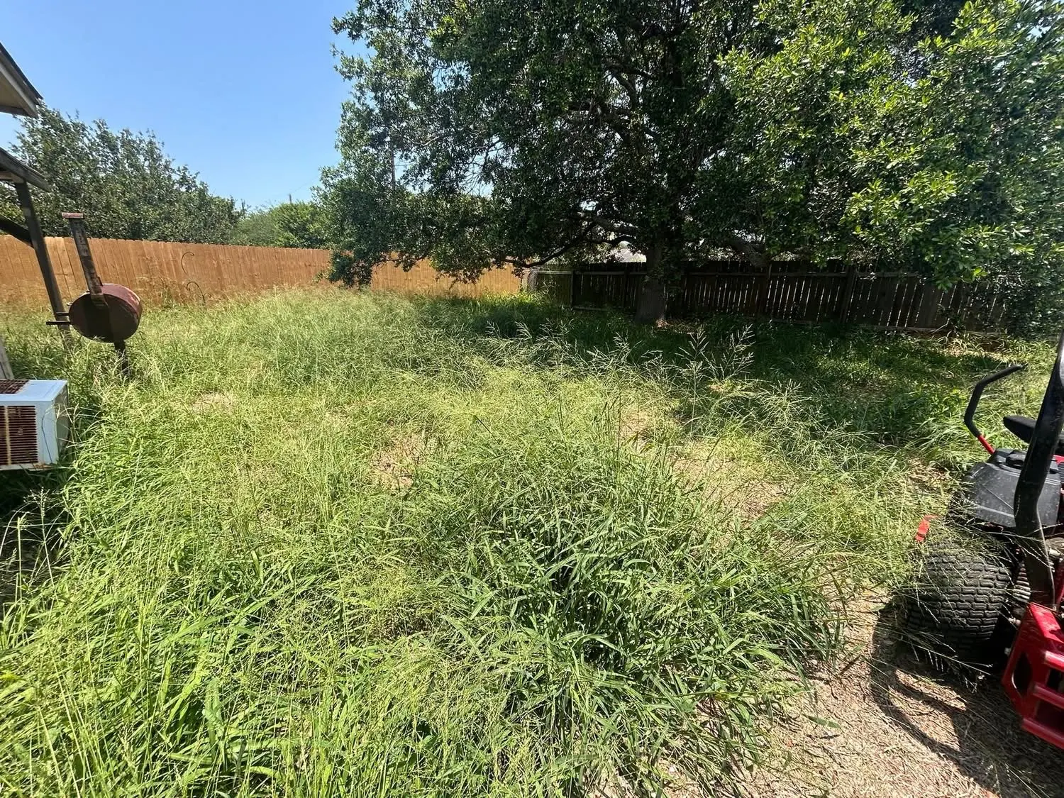 Tammy's backyard cleanup by Crosscut Lawn Service — before