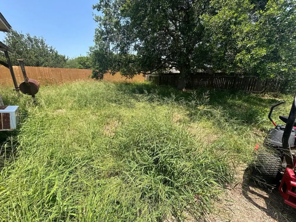 Tammy's backyard cleanup by Crosscut Lawn Service — before