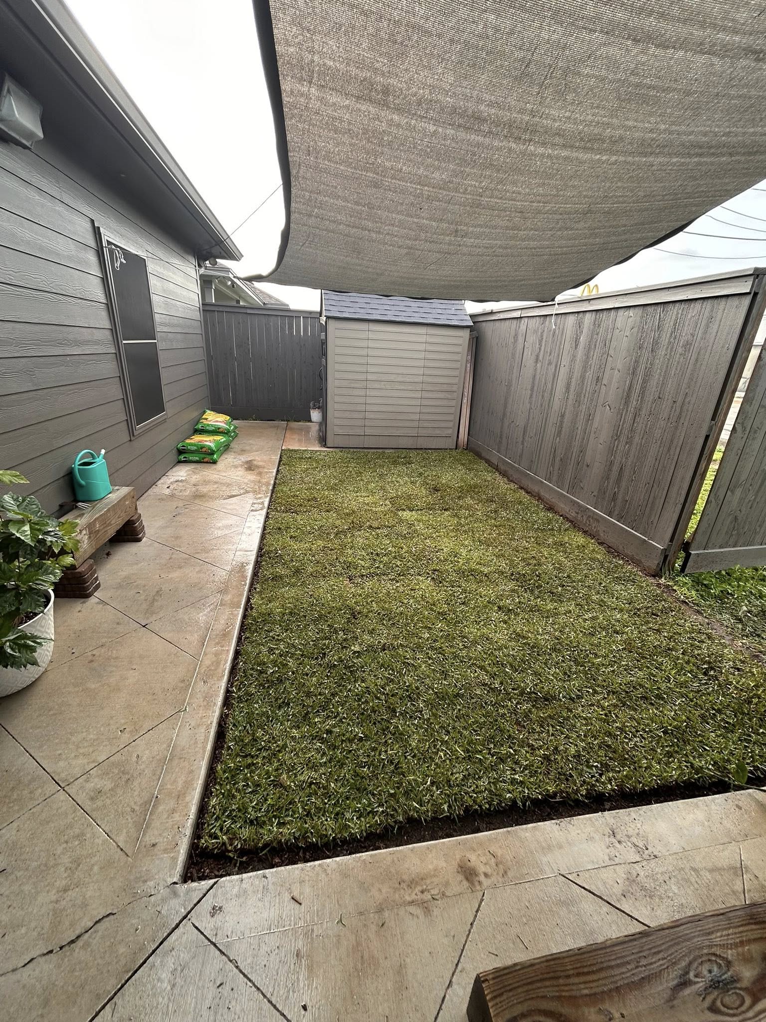 Sod installation — backyard