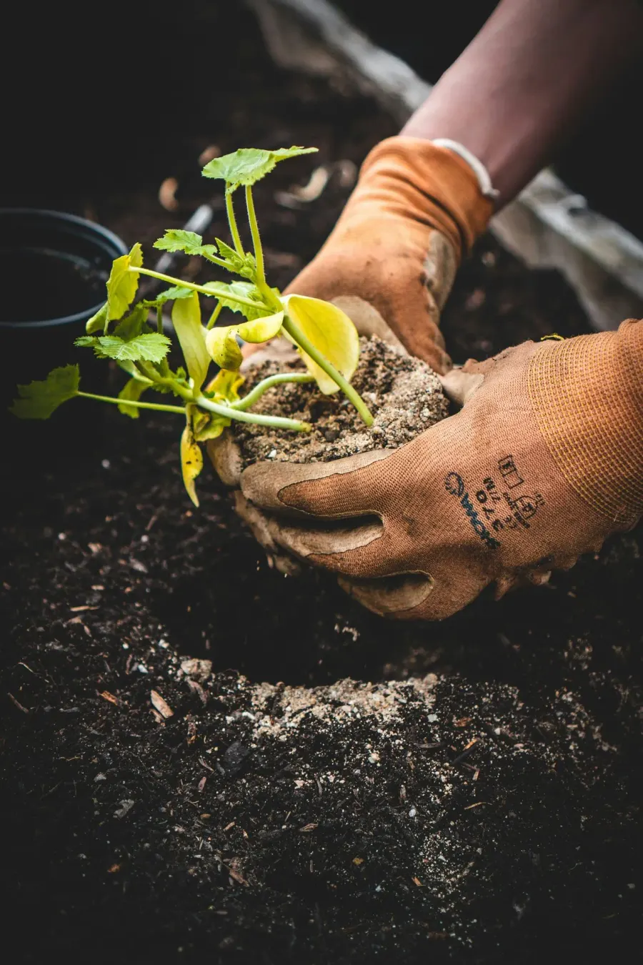 Gardening & Flower Bed Care