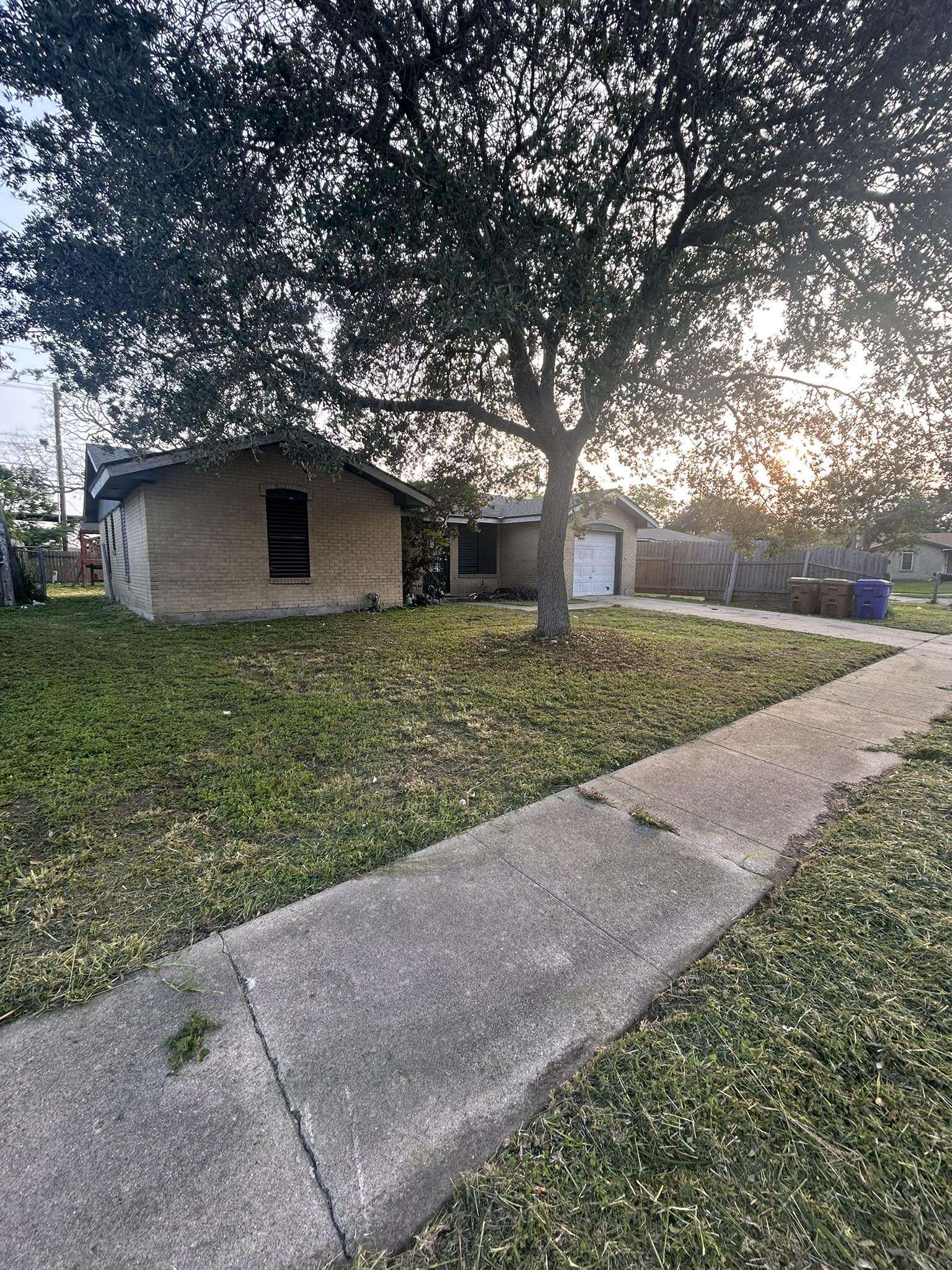 Front yard — Corpus Christi
