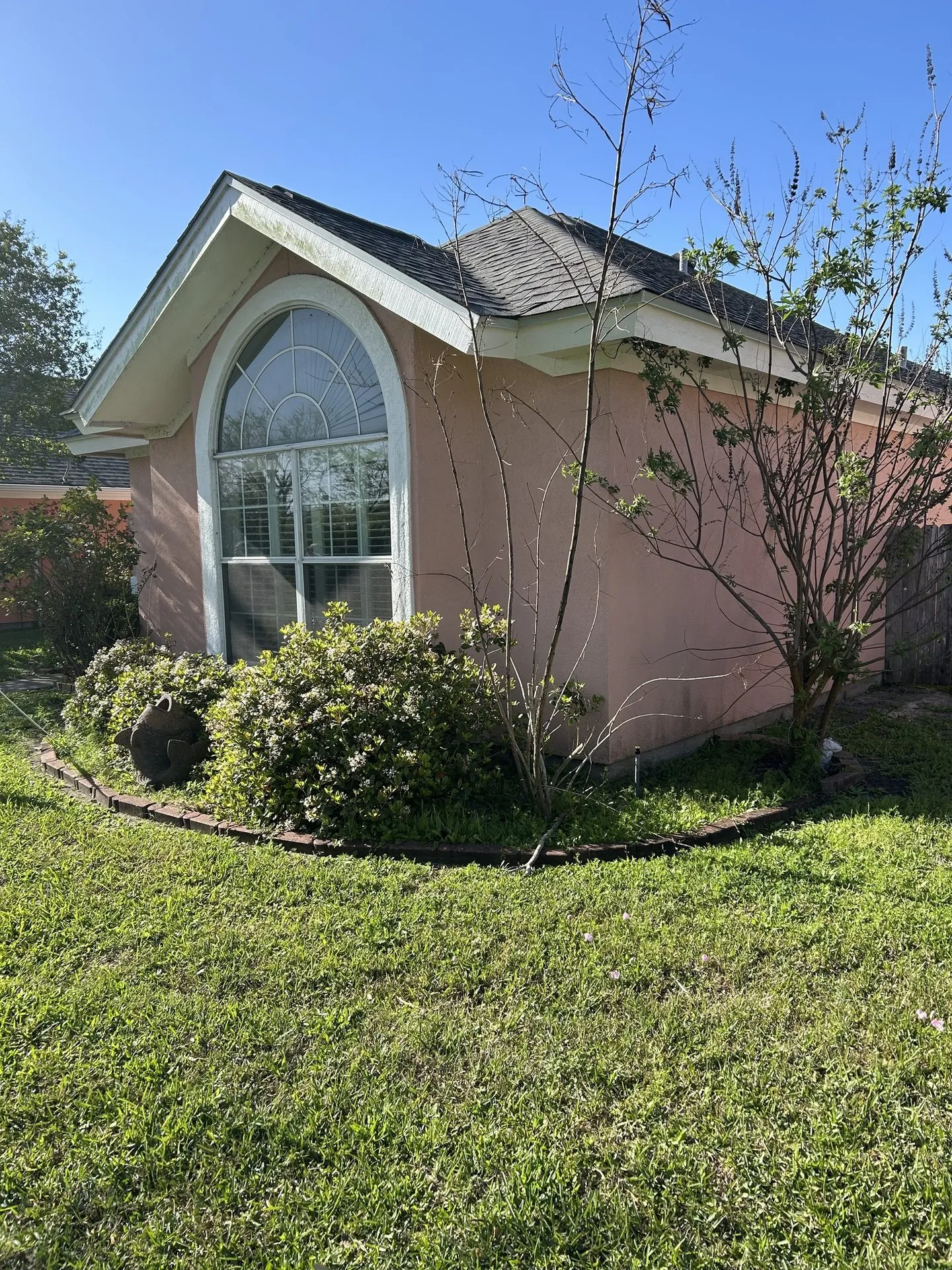 Flower Bed & Shrub Cleanup — before