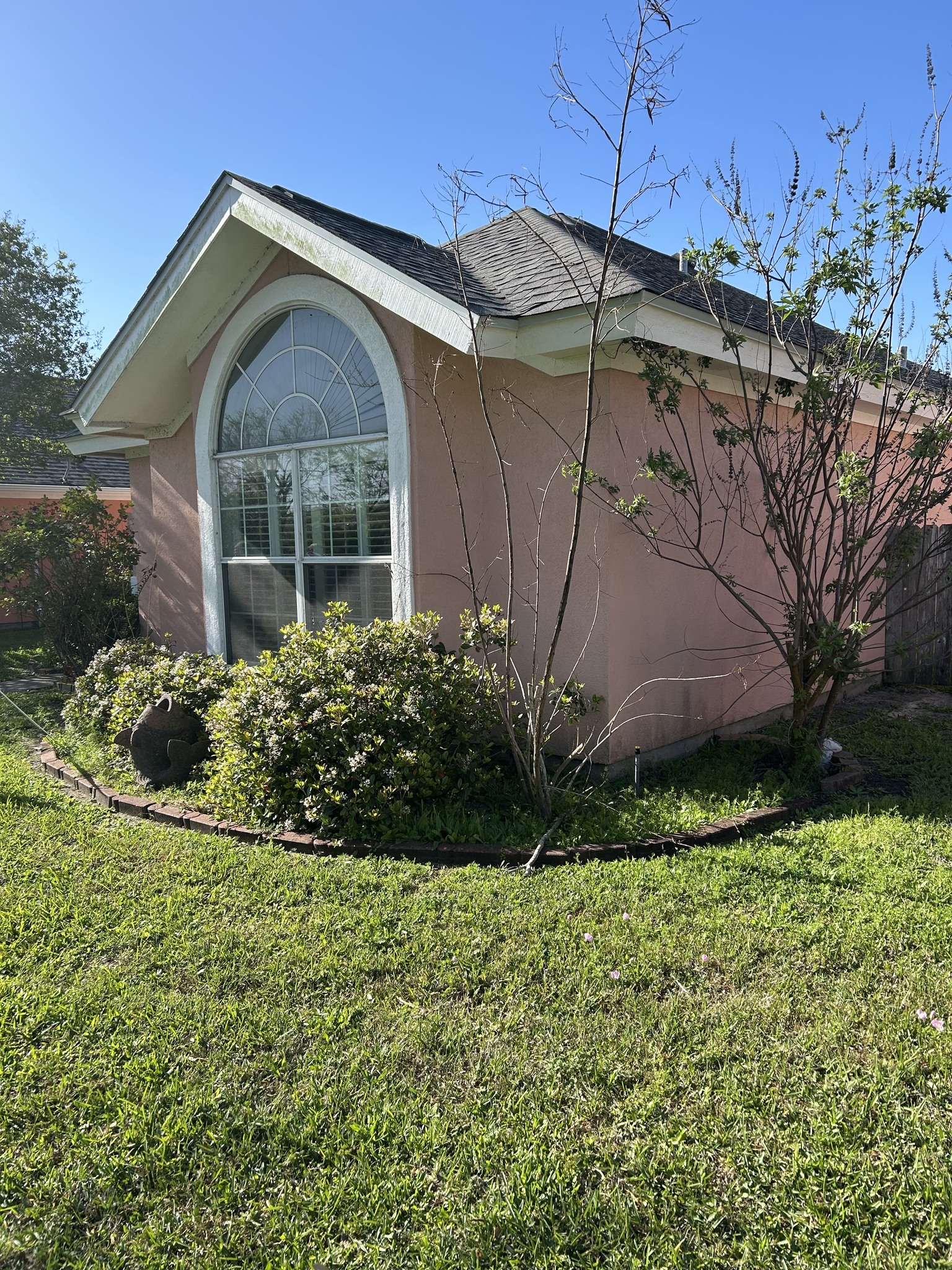 Flower Bed & Shrub Cleanup — before