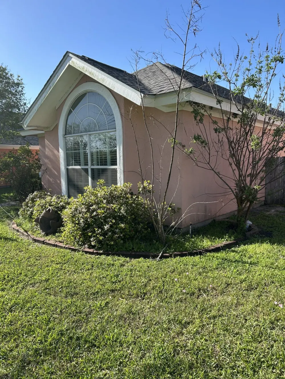 Flower Bed & Shrub Cleanup — before